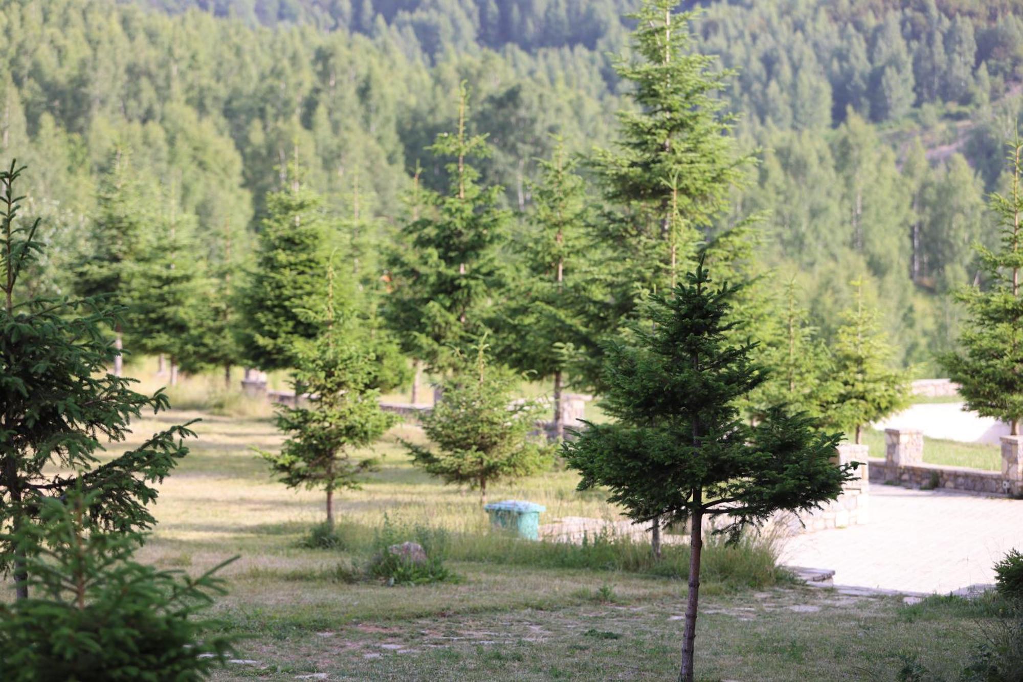 Stani I Hoxhes * Kukes