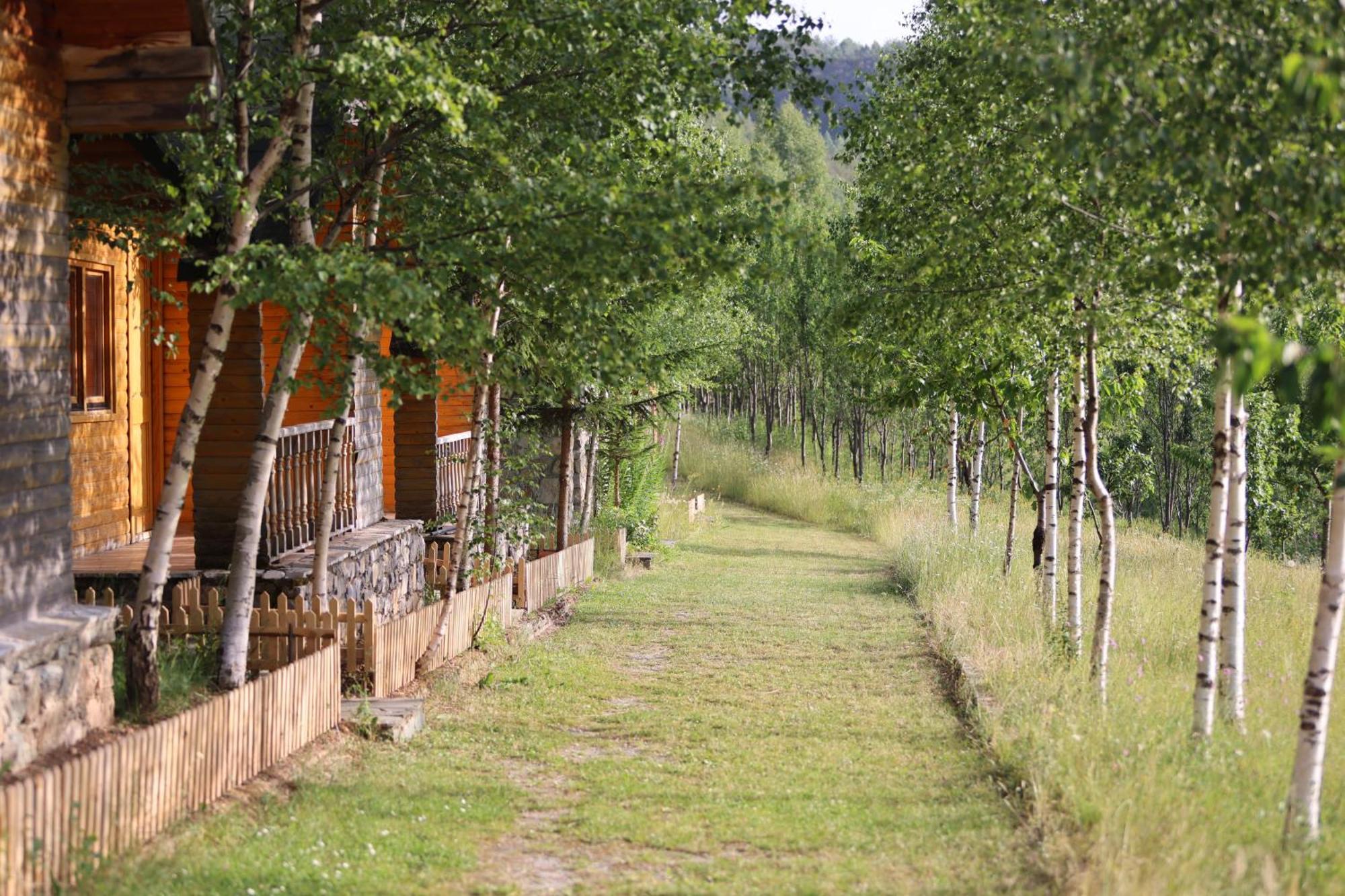 Hotel Stani I Hoxhes Kukes
